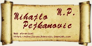 Mihajlo Pejkanović vizit kartica